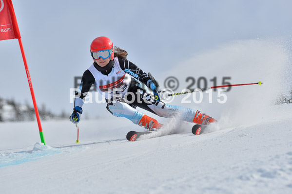 DSV Schülercup U16 X 2015