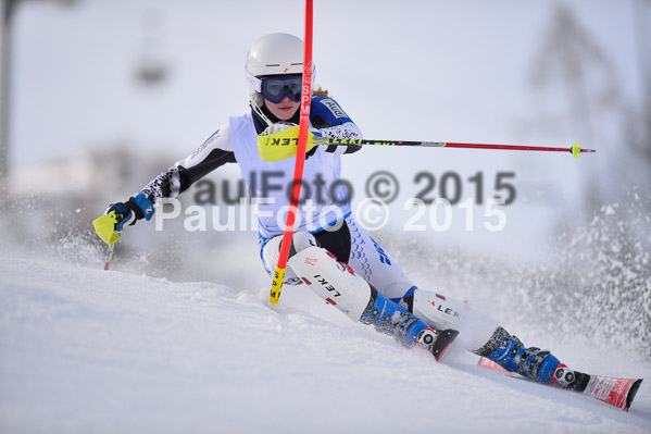 Sechzger Pokal SL 2015