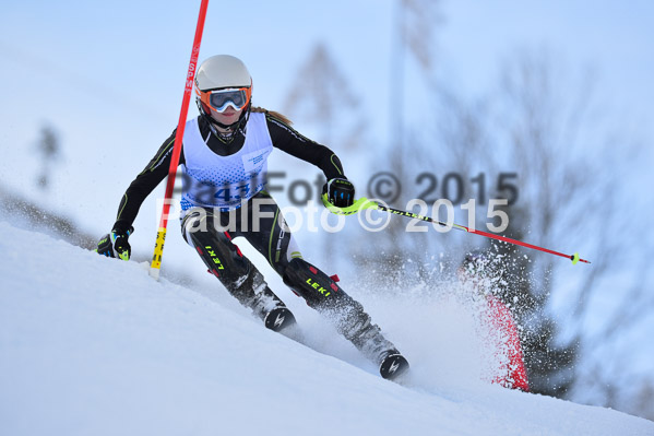 Sechzger Pokal SL 2015