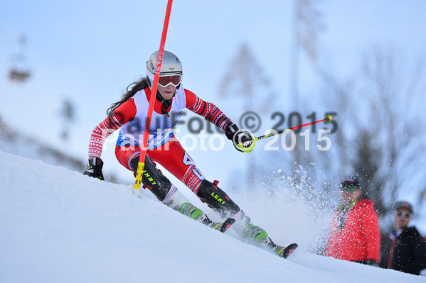 Sechzger Pokal SL 2015