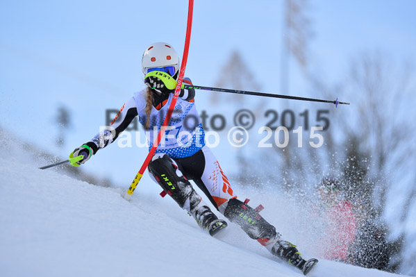 Sechzger Pokal SL 2015