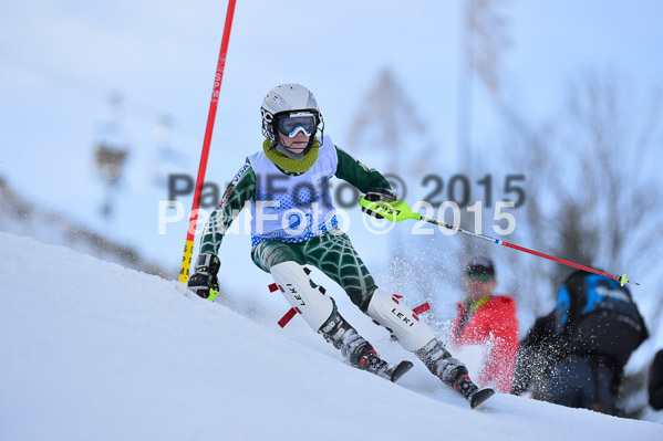 Sechzger Pokal SL 2015