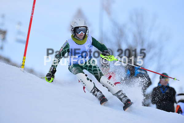 Sechzger Pokal SL 2015