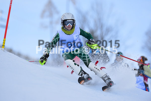 Sechzger Pokal SL 2015