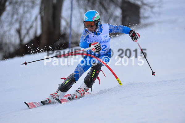 Sechzger Pokal SL 2015