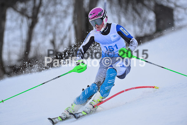 Sechzger Pokal SL 2015