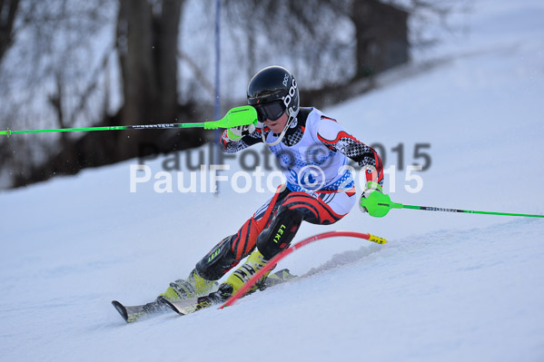 Sechzger Pokal SL 2015