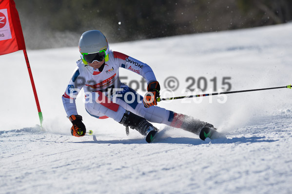 DSV Schülercup U14 V 2015