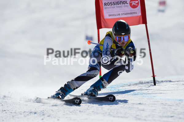 DSV Schülercup U14 V 2015