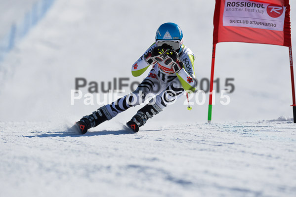 DSV Schülercup U14 V 2015