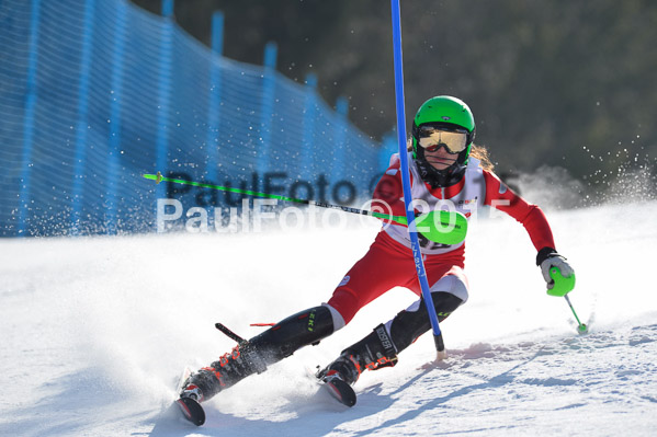 DSV Schülercup U14 VI 2015