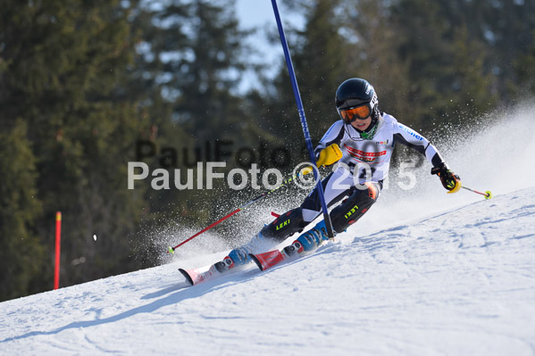 DSV Schülercup U14 VI 2015