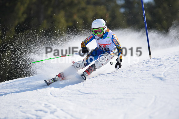 DSV Schülercup U14 VI 2015