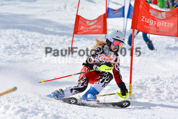 Ziener Cup Finale 2015