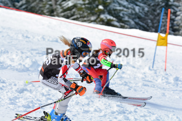 Ziener Cup Finale 2015