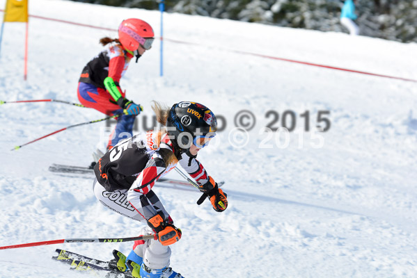 Ziener Cup Finale 2015