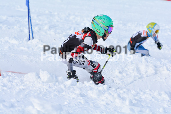 Ziener Cup Finale 2015