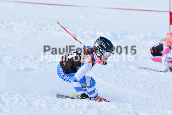 Ziener Cup Finale 2015