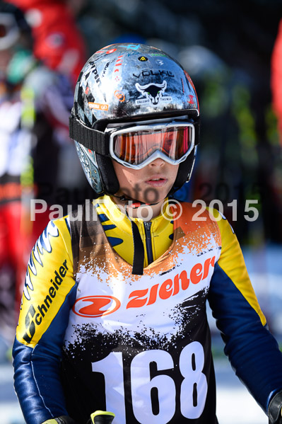 Ziener Cup Finale 2015