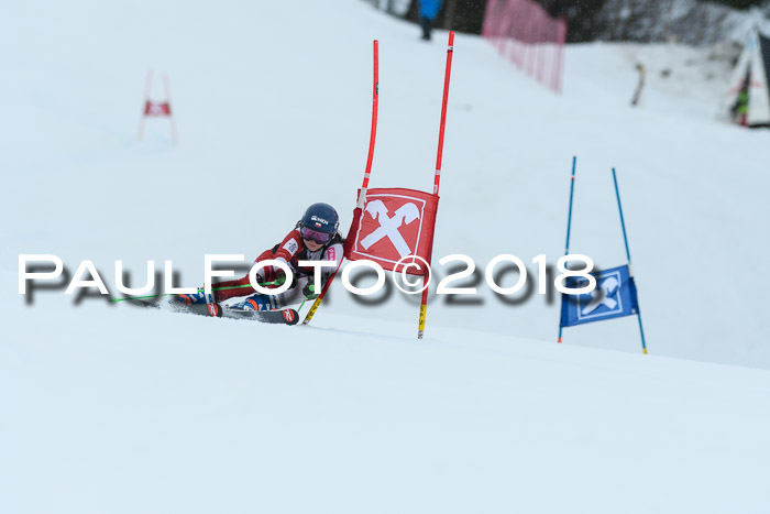 Int. FIS Rennen Damen, RS, Maria Alm 09.01.2018