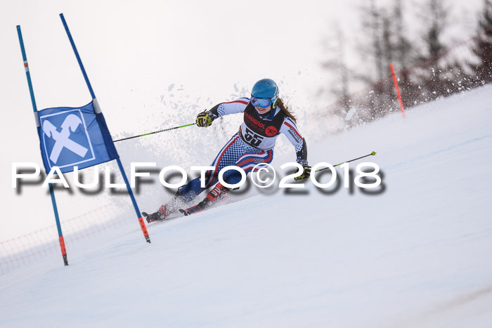 Int. FIS Rennen Damen, RS, Maria Alm 09.01.2018