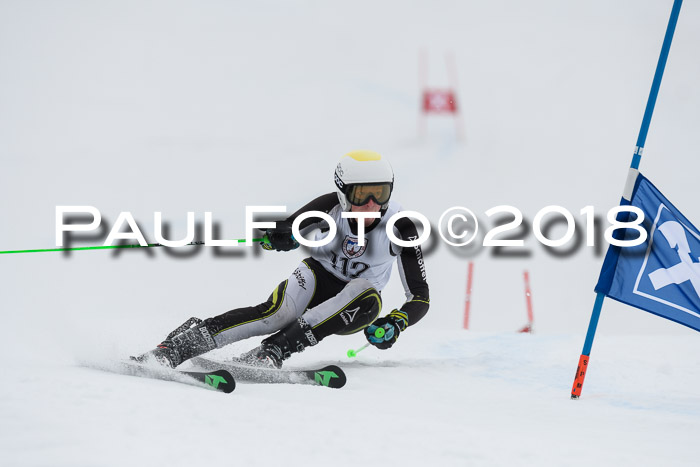 Int. FIS Rennen Herren, RS, Maria Alm 11.01.2018