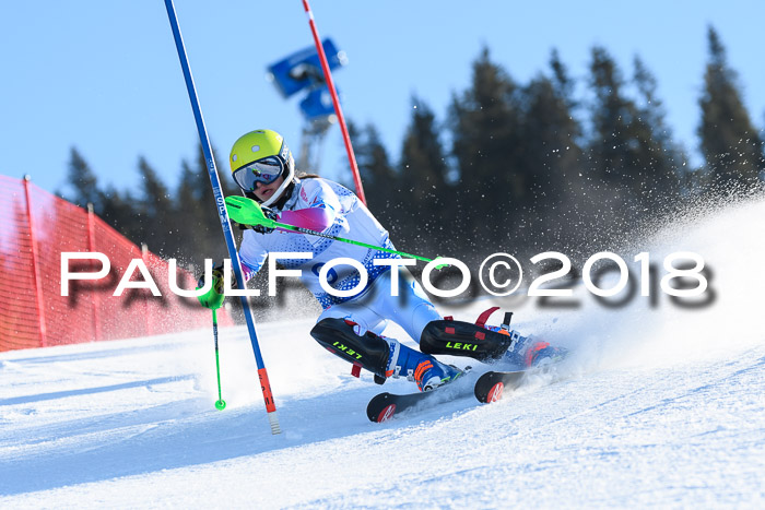 SVM U14/U16 Slalom 14.01.2018