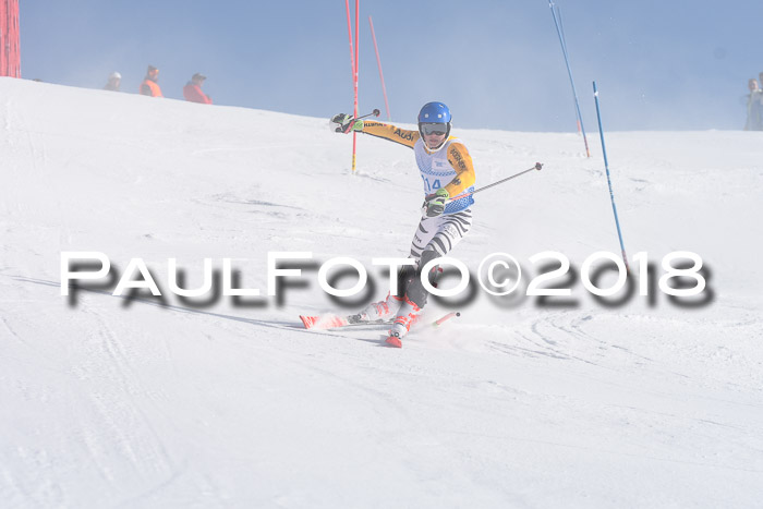 SVM U14/U16 Slalom 14.01.2018