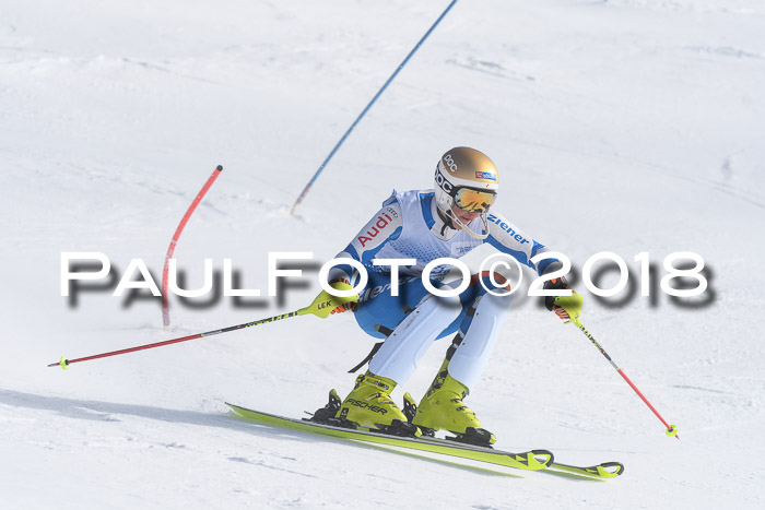 SVM U14/U16 Slalom 14.01.2018