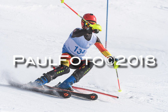 SVM U14/U16 Slalom 14.01.2018