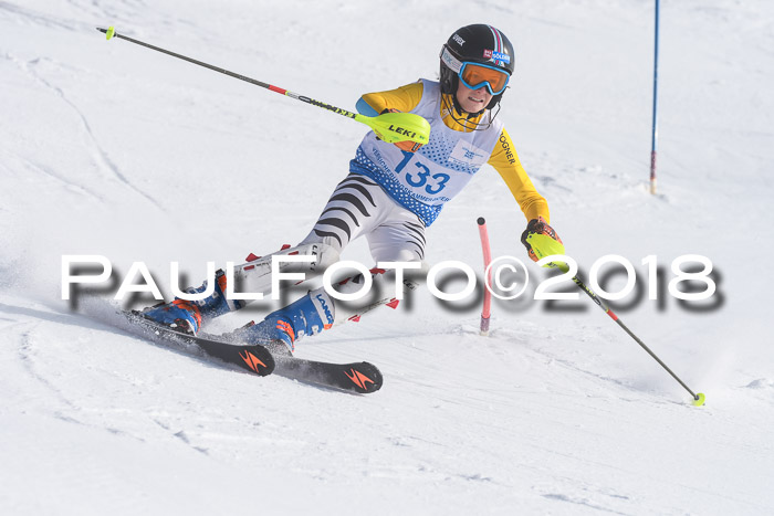 SVM U14/U16 Slalom 14.01.2018