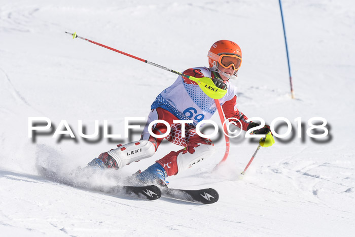 SVM U14/U16 Slalom 14.01.2018