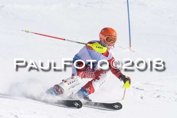 SVM U14/U16 Slalom 14.01.2018