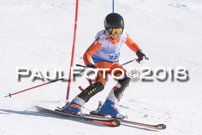 SVM U14/U16 Slalom 14.01.2018