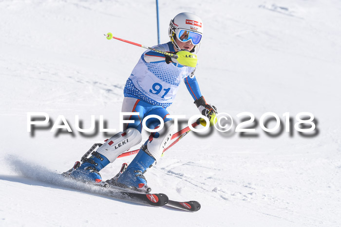 SVM U14/U16 Slalom 14.01.2018