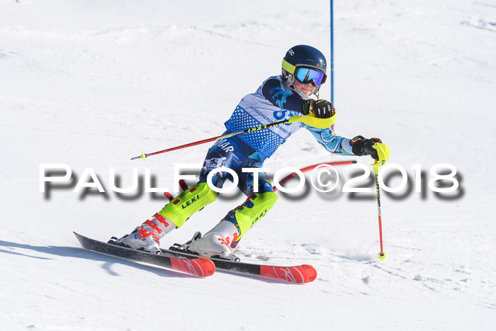 SVM U14/U16 Slalom 14.01.2018