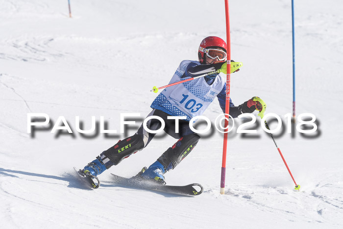 SVM U14/U16 Slalom 14.01.2018