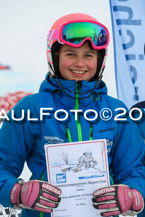 SVM U14/U16 Slalom 14.01.2018