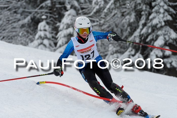 DSV Dt. Schülercup U14 SL 20.01.2018