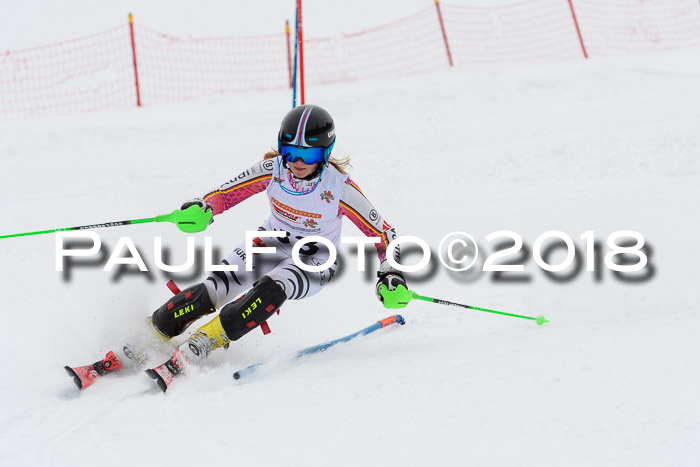 DSV Dt. Schülercup U14 SL 20.01.2018