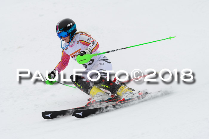 DSV Dt. Schülercup U14 SL 20.01.2018