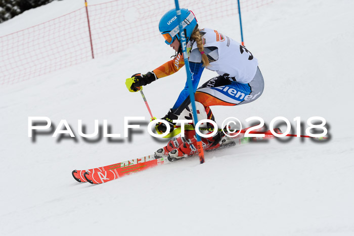 DSV Dt. Schülercup U14 SL 20.01.2018