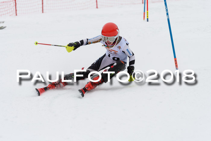 DSV Dt. Schülercup U14 SL 20.01.2018