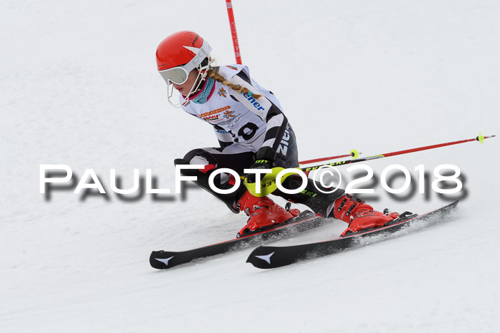 DSV Dt. Schülercup U14 SL 20.01.2018