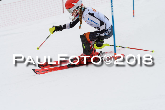 DSV Dt. Schülercup U14 SL 20.01.2018