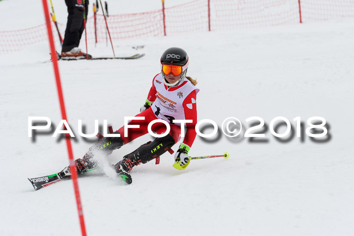 DSV Dt. Schülercup U14 SL 20.01.2018