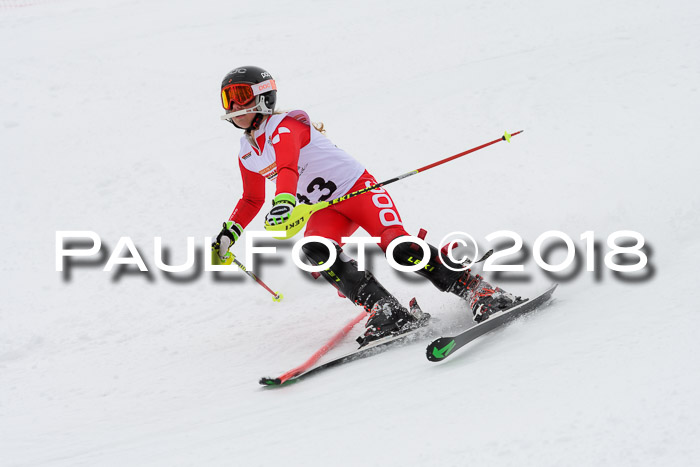 DSV Dt. Schülercup U14 SL 20.01.2018