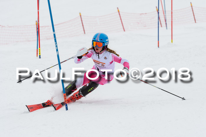 DSV Dt. Schülercup U14 SL 20.01.2018