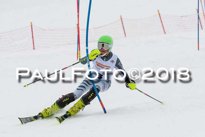 DSV Dt. Schülercup U14 SL 20.01.2018