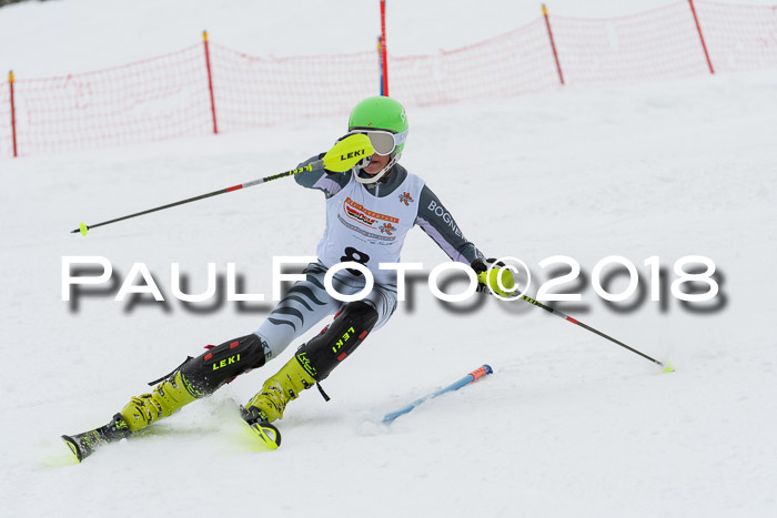 DSV Dt. Schülercup U14 SL 20.01.2018